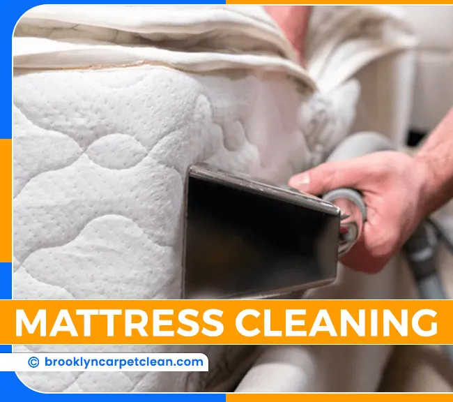 carpet cleaning in brooklyn, carpet cleaning in new york, carpet cleaning brooklyn, carpet cleaners in brooklyn, carpet cleaners in new york, commercial carpet cleaning, commercial carpet cleaning in brooklyn, brooklyn rug cleaners, rug cleaning services in brooklyn, same day carpet cleaning, same day rug cleaning